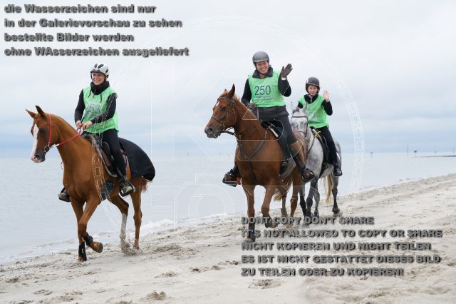 s_K3F04874.JPG